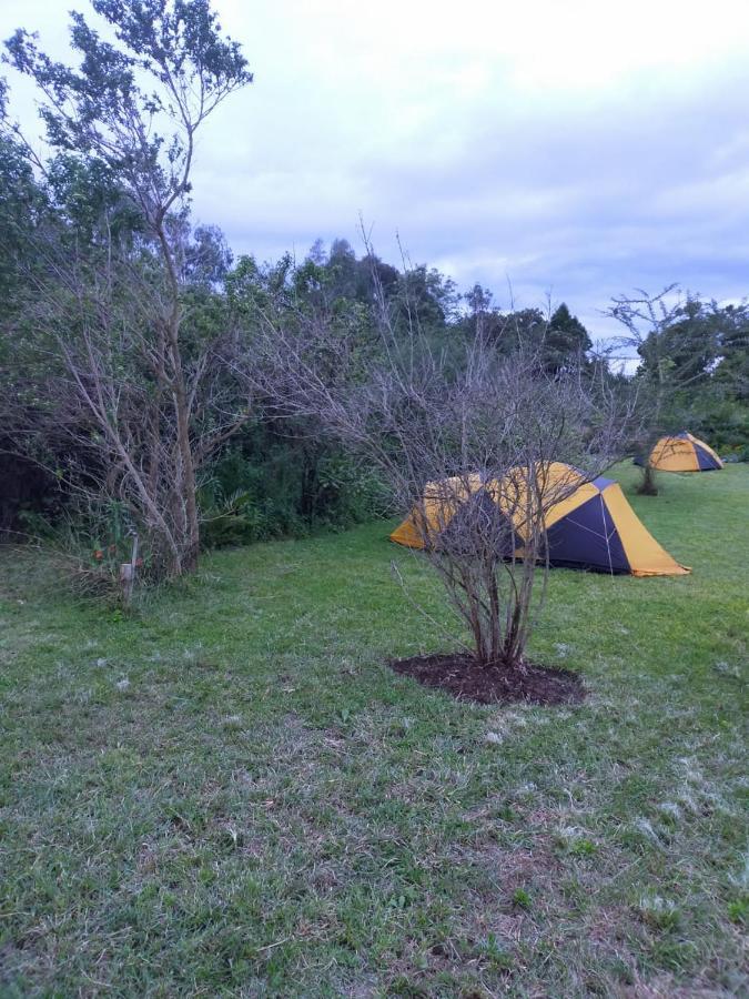 Camp Mahon Gardens Hotel Nanyuki Luaran gambar