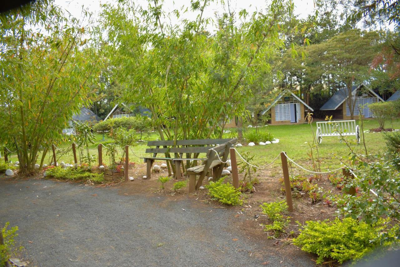 Camp Mahon Gardens Hotel Nanyuki Luaran gambar